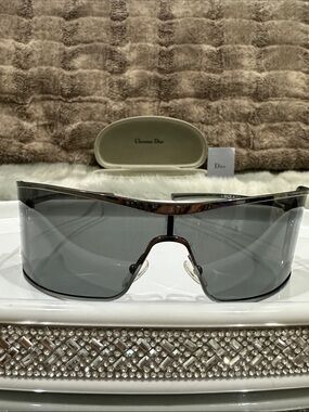 DIOR Shield Sunglasses - Gray Lens DIOR logo on sides